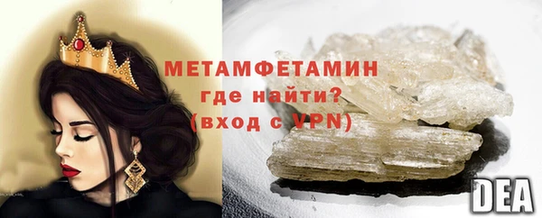 прущие грибы Горняк