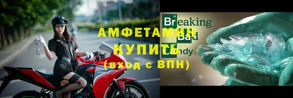 прущие грибы Горняк