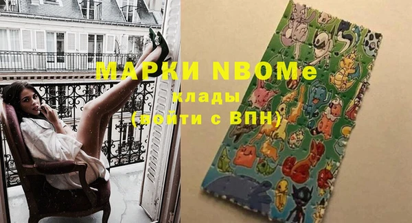 прущие грибы Горняк