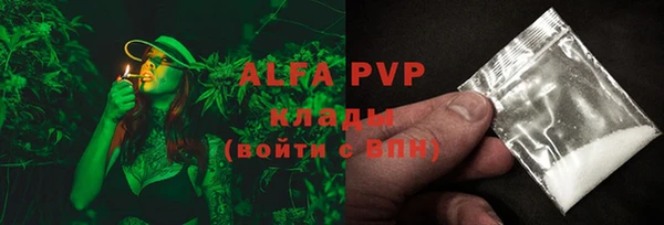 PSILOCYBIN Горнозаводск