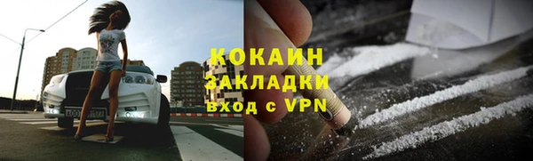 прущие грибы Горняк