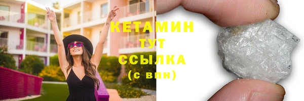 прущие грибы Горняк