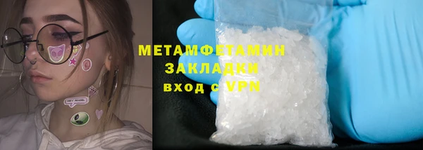 прущие грибы Горняк