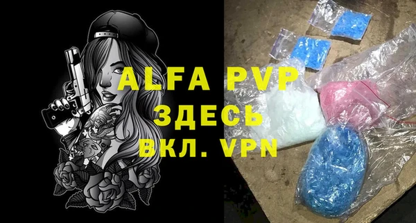 прущие грибы Горняк