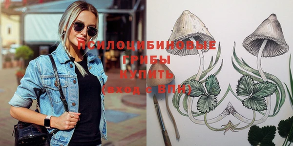прущие грибы Горняк