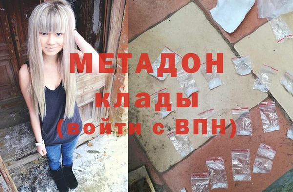 прущие грибы Горняк