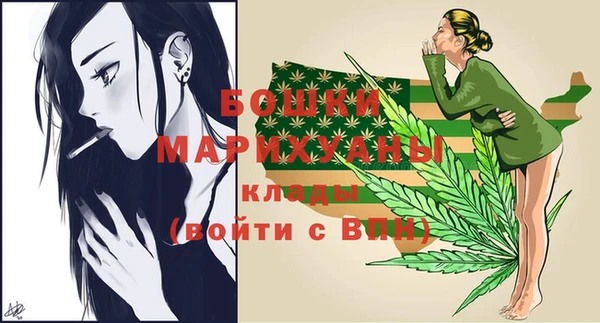 прущие грибы Горняк