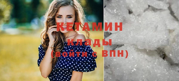 прущие грибы Горняк