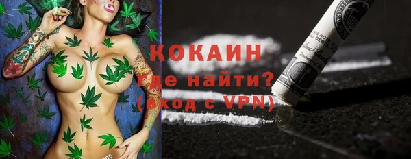 PSILOCYBIN Горнозаводск